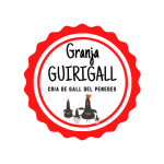 1-removebg-preview